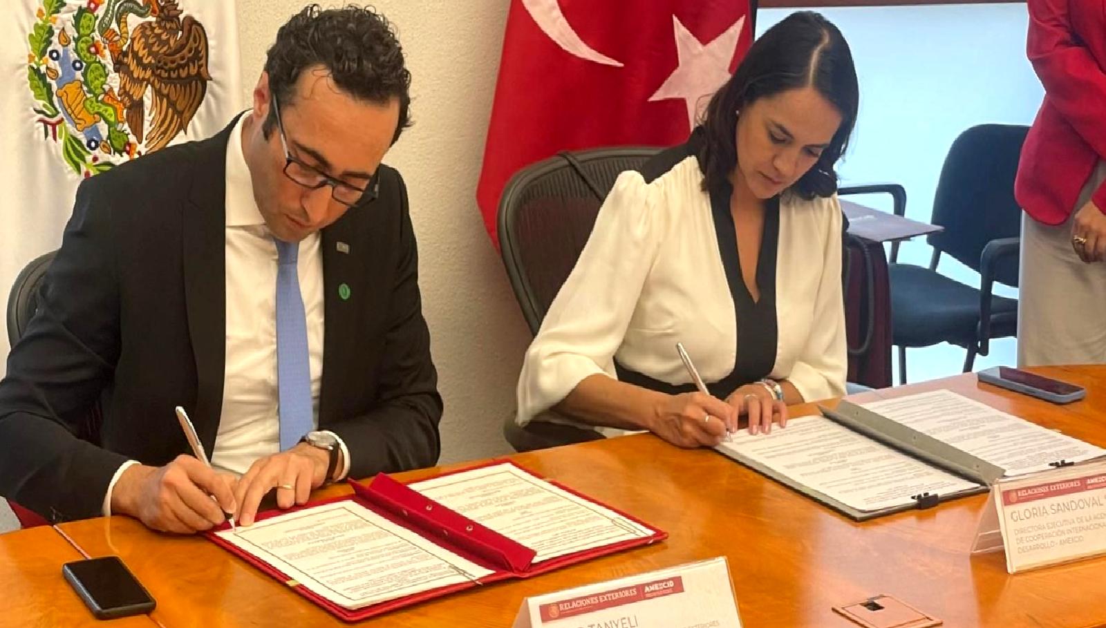 MIKTA 4. Üst Düzey Kalkınma İşbirliği Ağı Toplantısı, küresel kalkınma