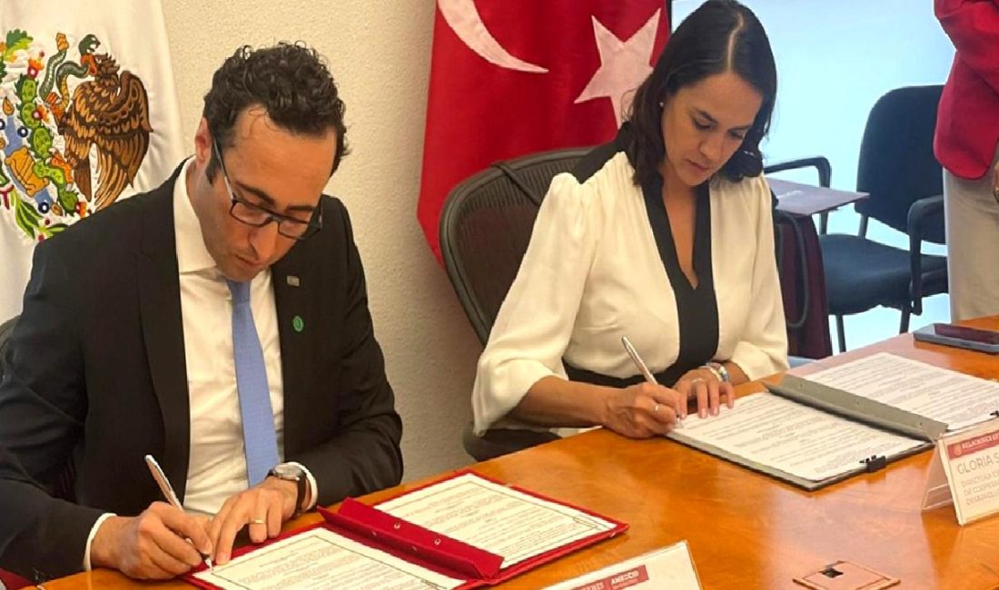 MIKTA 4. Üst Düzey Kalkınma İşbirliği Ağı Toplantısı ve Türkiye’nin Rolü MIKTA 4. Üst Düzey Kalkınma İşbirliği Ağı Toplantısı, Türkiye'nin uluslararası