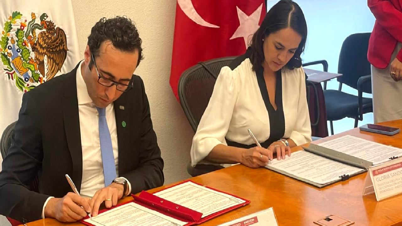 MIKTA 4. Üst Düzey Kalkınma İşbirliği Ağı Toplantısı, Türkiye'nin uluslararası