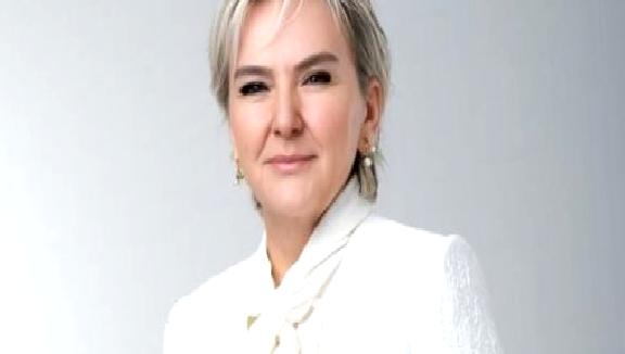 Nimet Özdemir, Türk iş dünyasında önemli bir figür olarak girişimcilik