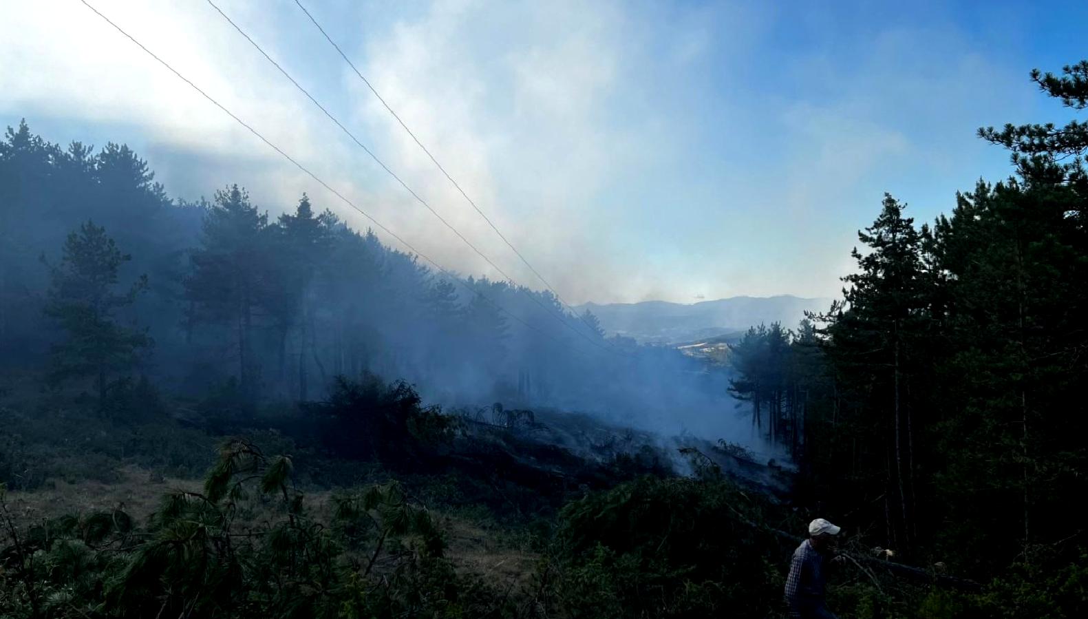 Taşköprü'de çıkan orman yangını kontrol altına alındı. Yetkililer, yangının etkili