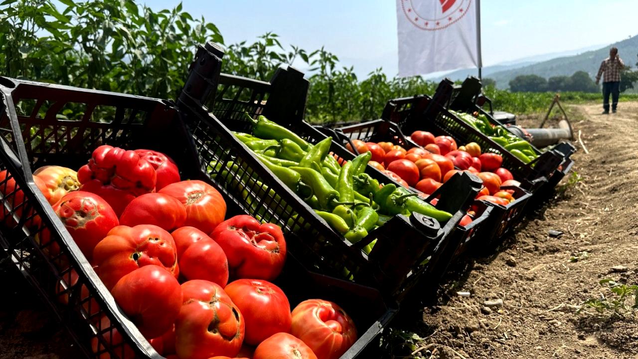 Osmaniye Bahçe İlçesi'nde tarım destekleri ve hasat programı hakkında bilgilendirici