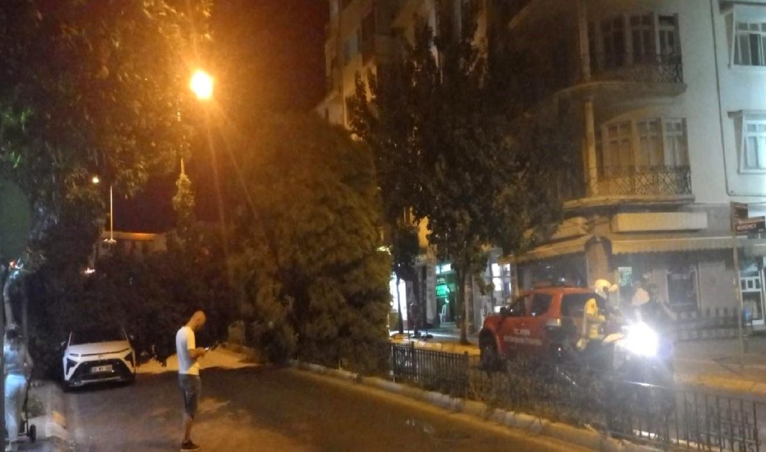 Ramazan Paşa Mahallesi'nde yaşanan korku dolu anlarla dolu olan bu