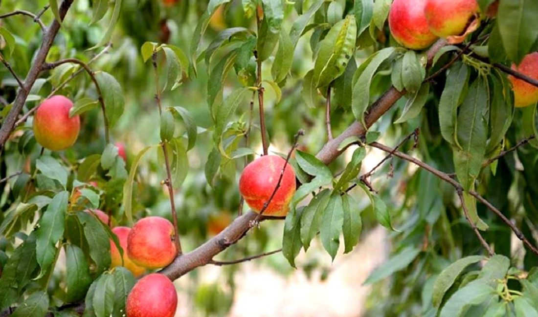 Türkiye Odalar ve Borsalar Birliği Başkanı Rifat Hisarcıklıoğlu'nun paylaşımı ve
