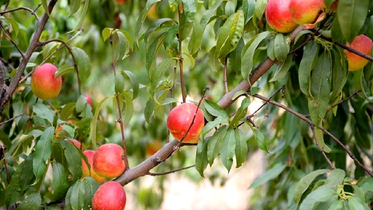 Türkiye Odalar ve Borsalar Birliği Başkanı Rifat Hisarcıklıoğlu'nun paylaşımı ve