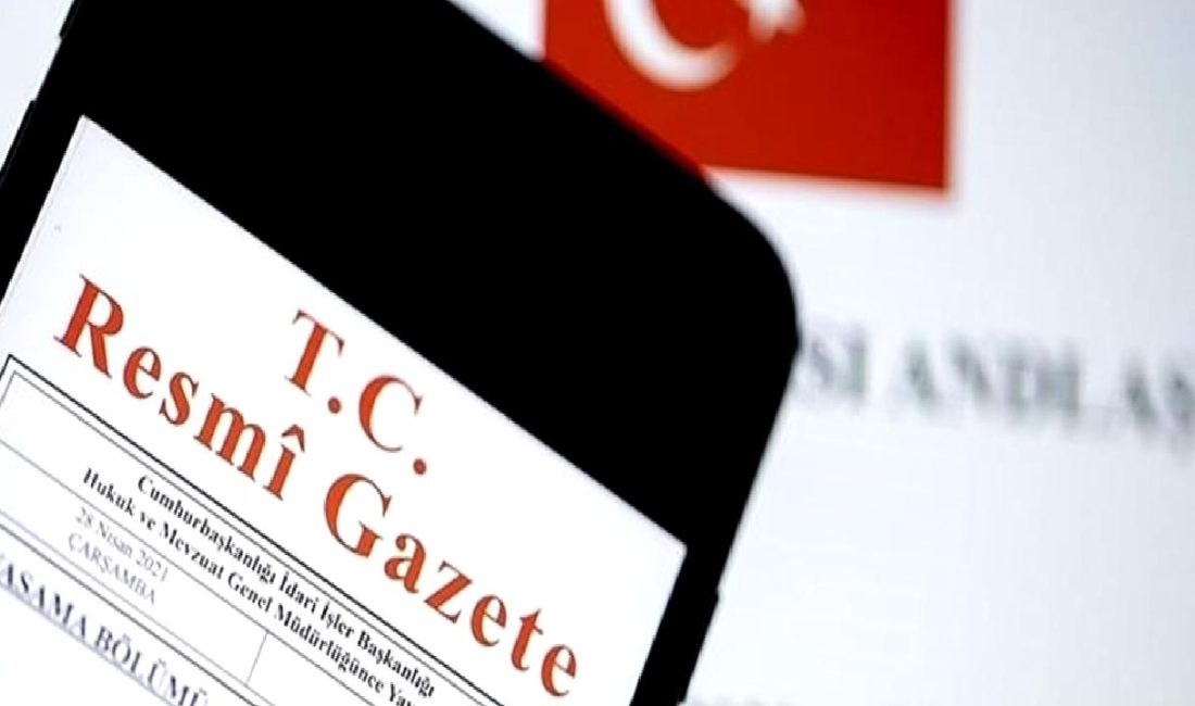 Seyahat acentası ve belge doğrulama yükümlülükleri hakkında bilgilendirici bir rehber.