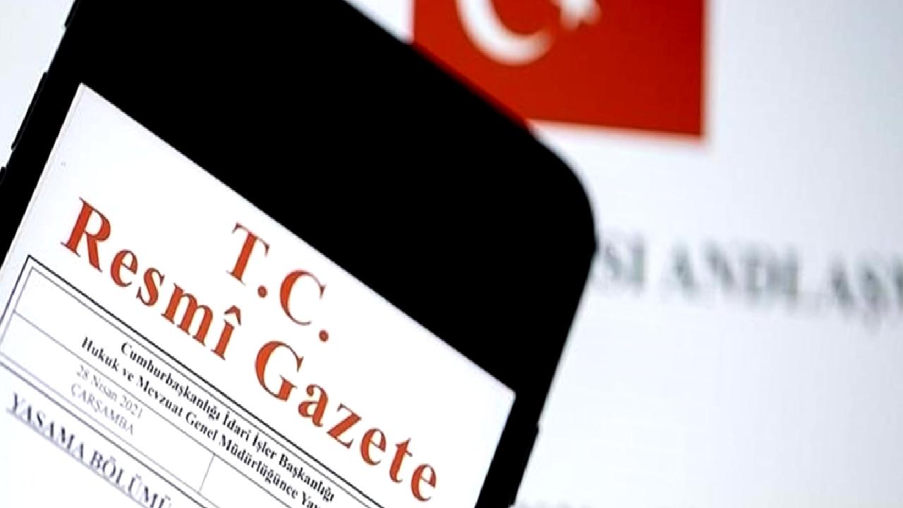 Seyahat acentası ve belge doğrulama yükümlülükleri hakkında bilgilendirici bir rehber.