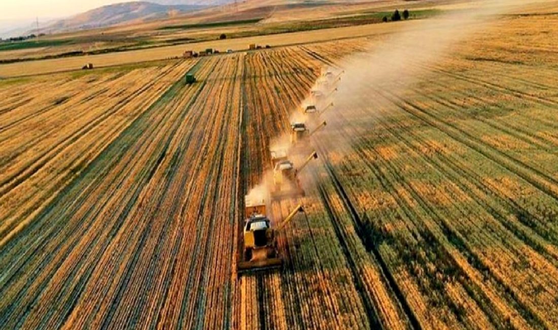 Tarımsal Destekleme Ödemeleri 2023 Duyurusu 2023 yılı tarımsal destekleme ödemeleri hakkında tüm bilgilere ulaşın. Başvuru