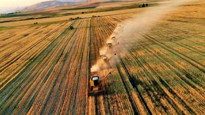 2023 yılı tarımsal destekleme ödemeleri hakkında tüm bilgilere ulaşın. Başvuru