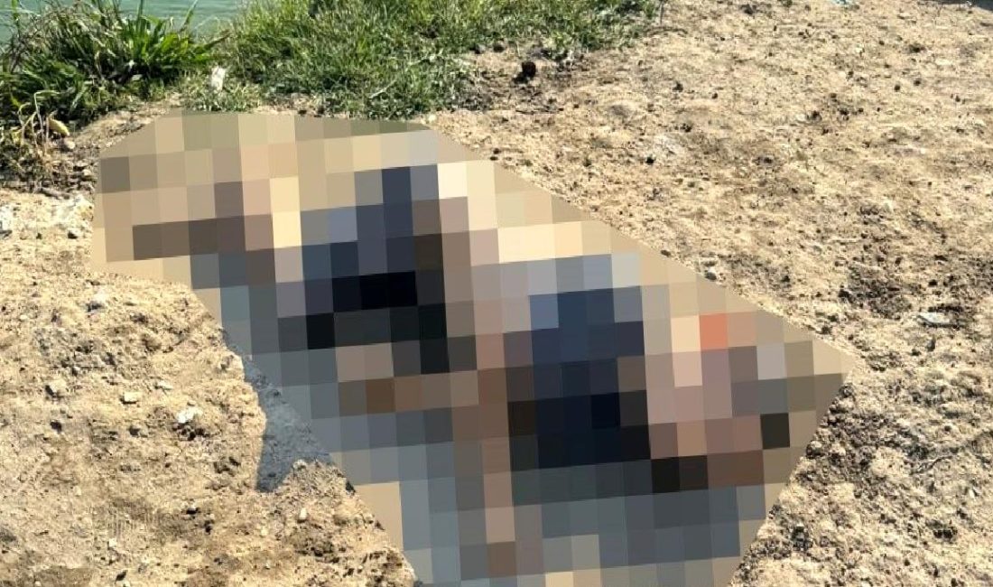 Tarsus’ta Dramatik Olay: Su Kanalında Hareketsiz Yatan Çocuk Tarsus'ta yaşanan dramatik olayda, su kanalında hareketsiz yatan bir çocuk