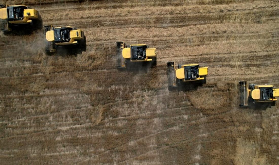 TİGEM Polatlı Tarım İşletmesi'nin hasat sürecindeki başarılı uygulamalarını keşfedin. Modern