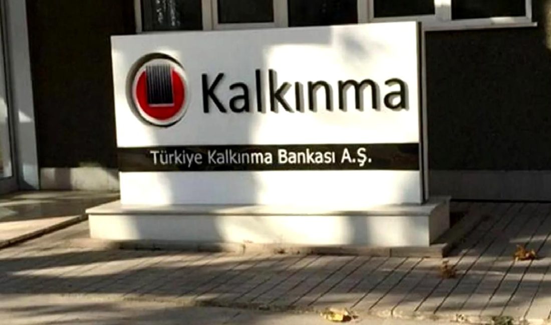 Türkiye Kalkınma ve Yatırım Bankası, 2024 yılının ilk altı aylık