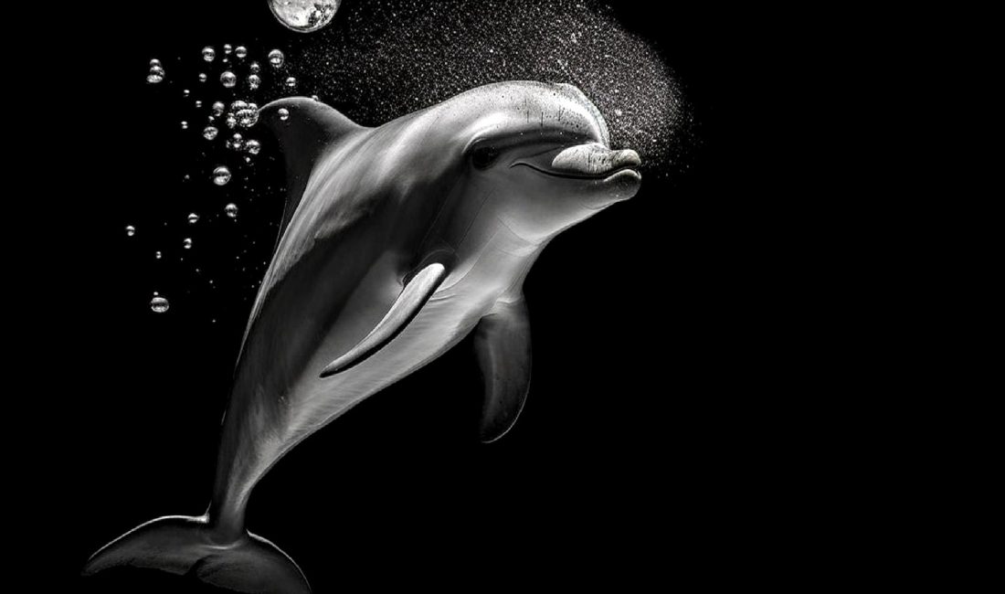 Uniswap'da yaşanan büyük satış baskısı, yatırımcılar arasında endişe yaratıyor. Piyasalardaki