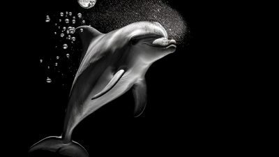 Uniswap'da yaşanan büyük satış baskısı, yatırımcılar arasında endişe yaratıyor. Piyasalardaki