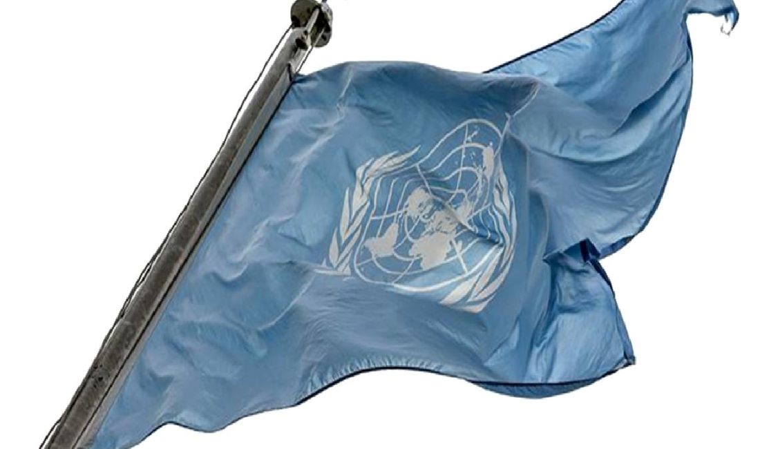 BM Libya Destek Misyonu (UNSMIL), Libya'da gözaltında tutulan gazeteci serbest