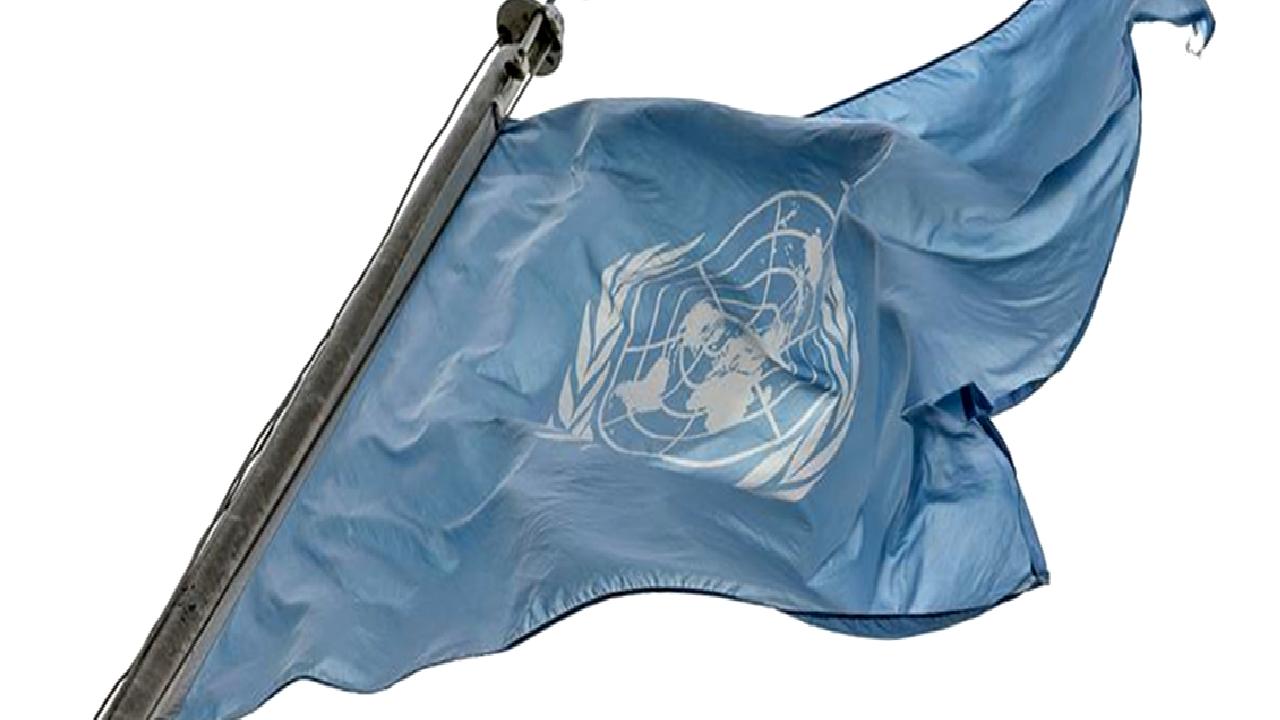 BM Libya Destek Misyonu (UNSMIL), Libya'da gözaltında tutulan gazeteci serbest