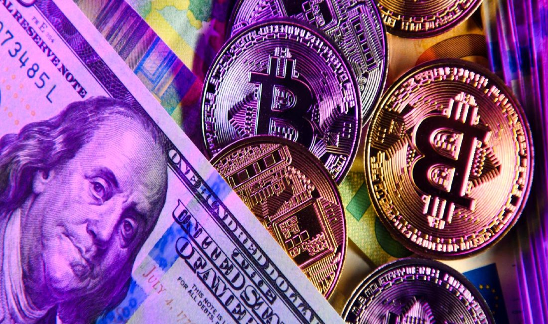 Vincent Daniel ve Porter Collins, dolar ve Bitcoin üzerine kapsamlı