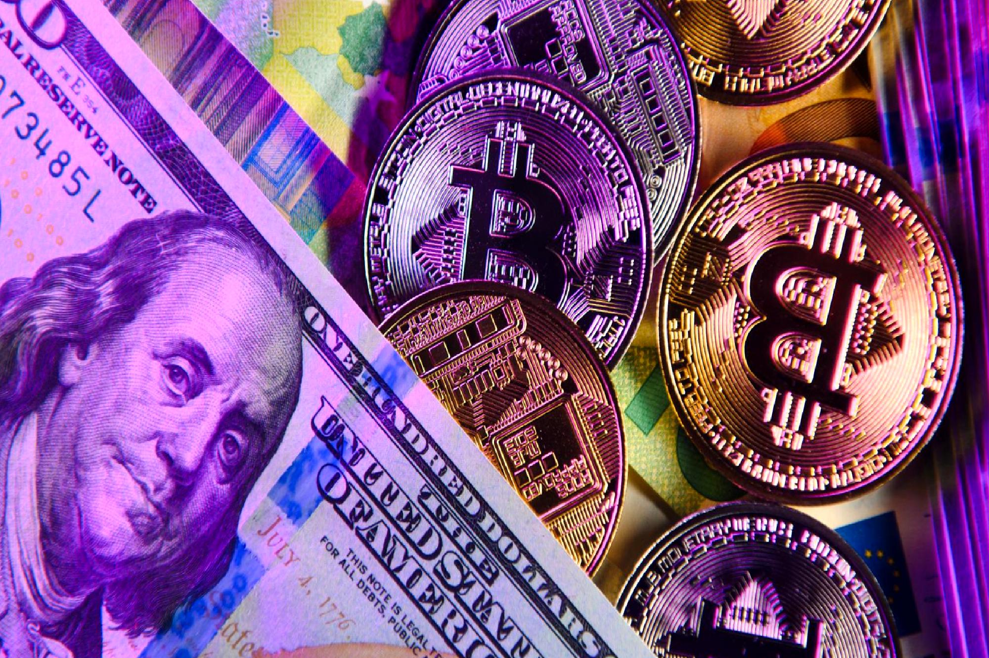 Vincent Daniel ve Porter Collins, dolar ve Bitcoin üzerine kapsamlı