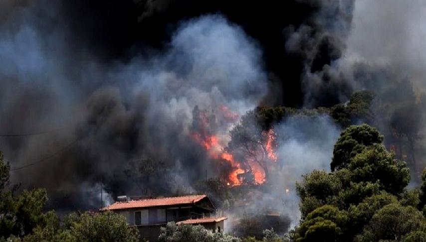 Yunanistan'ın Sakız Adası'nda çıkan orman yangınına müdahale eden Yunanistan İtfaiye