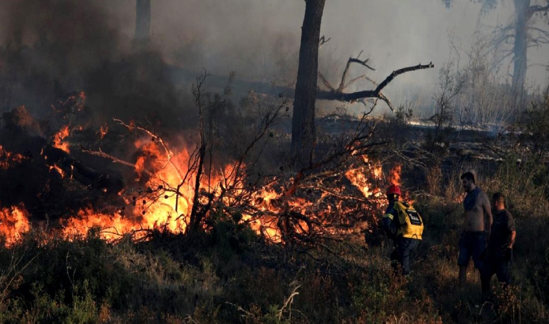 Yunanistan Orman Yangınlarıyla Mücadele Ediyor Yunanistan, son zamanlarda artan orman yangınlarıyla baş etmeye çalışıyor. Ülke,
