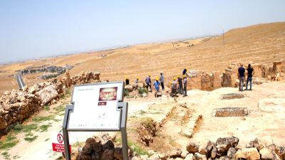 Zerzevan Kalesi ve Mithras Tapınağı, Diyarbakır ilinde bulunan tarihi kalıntılar