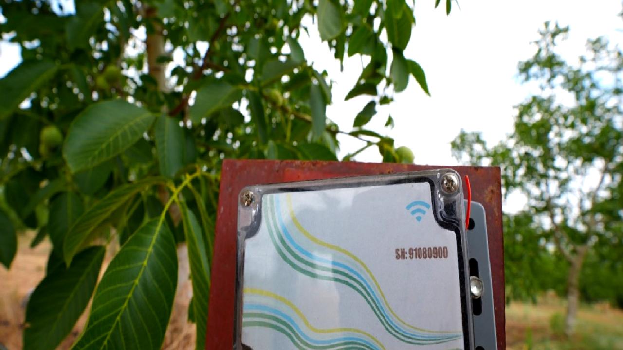 Akıllı sulama sistemleri, tarımda su tasarrufu sağlarken verimliliği artırır. Bu