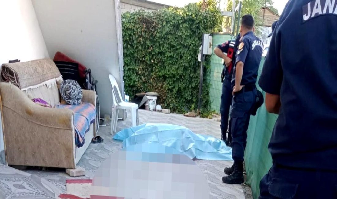 Ankara’da Kardeşler Arasında Kanlı Tartışma Ankara'da kardeşler arasında yaşanan kanlı tartışma, aile içindeki gerilimleri ve