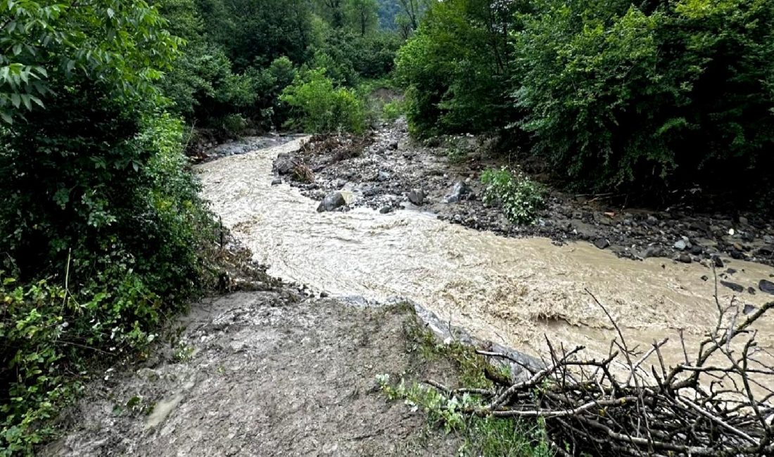 Batı Karadeniz’de Orman Hasarları ve Ekonomik Etkileri Batı Karadeniz'de meydana gelen orman hasarları, ekosistem dengesi ve yerel