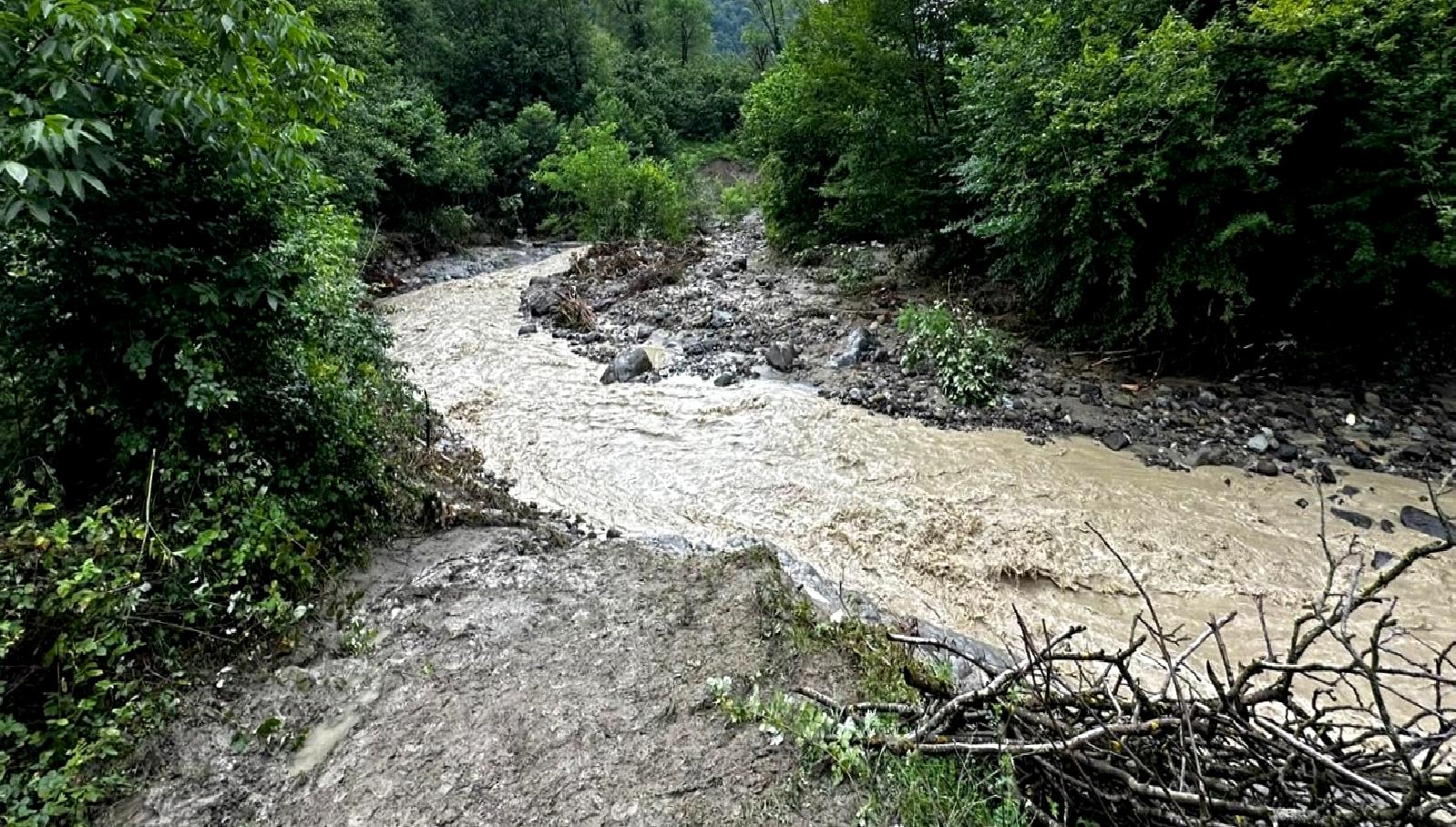 Batı Karadeniz'de meydana gelen orman hasarları, ekosistem dengesi ve yerel