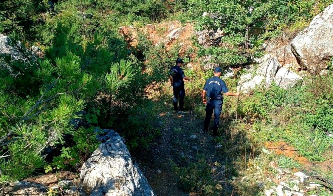 Bilecik'te gömülü ceset bulundu! Halil K.'nin kayboluşuyla ilgili detaylar ve