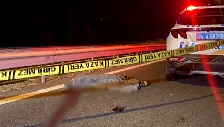 Büyükçekmece Tem Otoyolu'nda gerçekleşen yaya çarpma kazası, dikkat çeken detaylarıyla