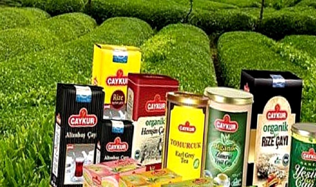 ÇAYKUR’dan Üreticilere Destek ve Uyarılar ÇAYKUR, çay üreticilerine sunduğu destek ve uyarılarla sektördeki gelişmeleri yakından