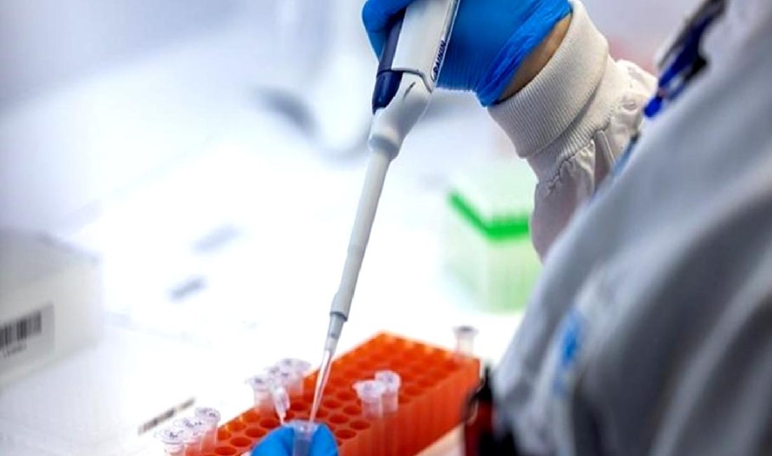 Covid-19’un Temmuz Ayındaki Durumu ve Aşılanma Süreci Covid-19'un Temmuz ayındaki durumu ve aşılanma süreci hakkında güncel bilgiler.