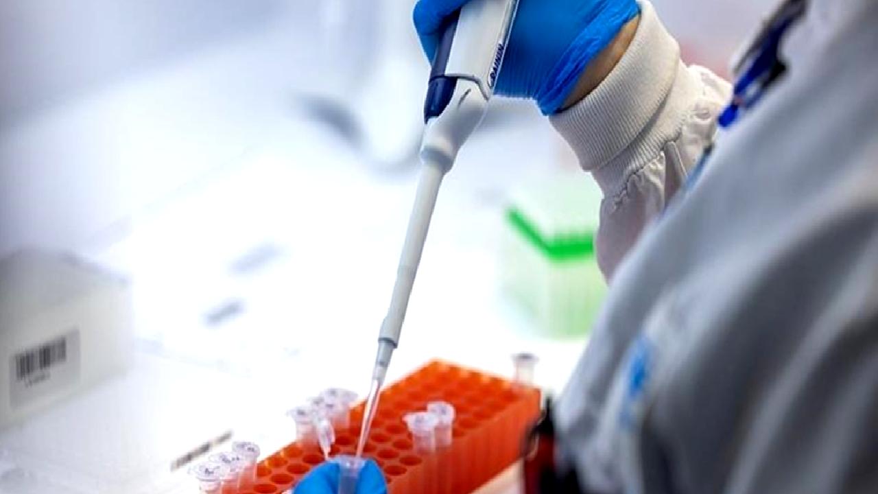 Covid-19'un Temmuz ayındaki durumu ve aşılanma süreci hakkında güncel bilgiler.