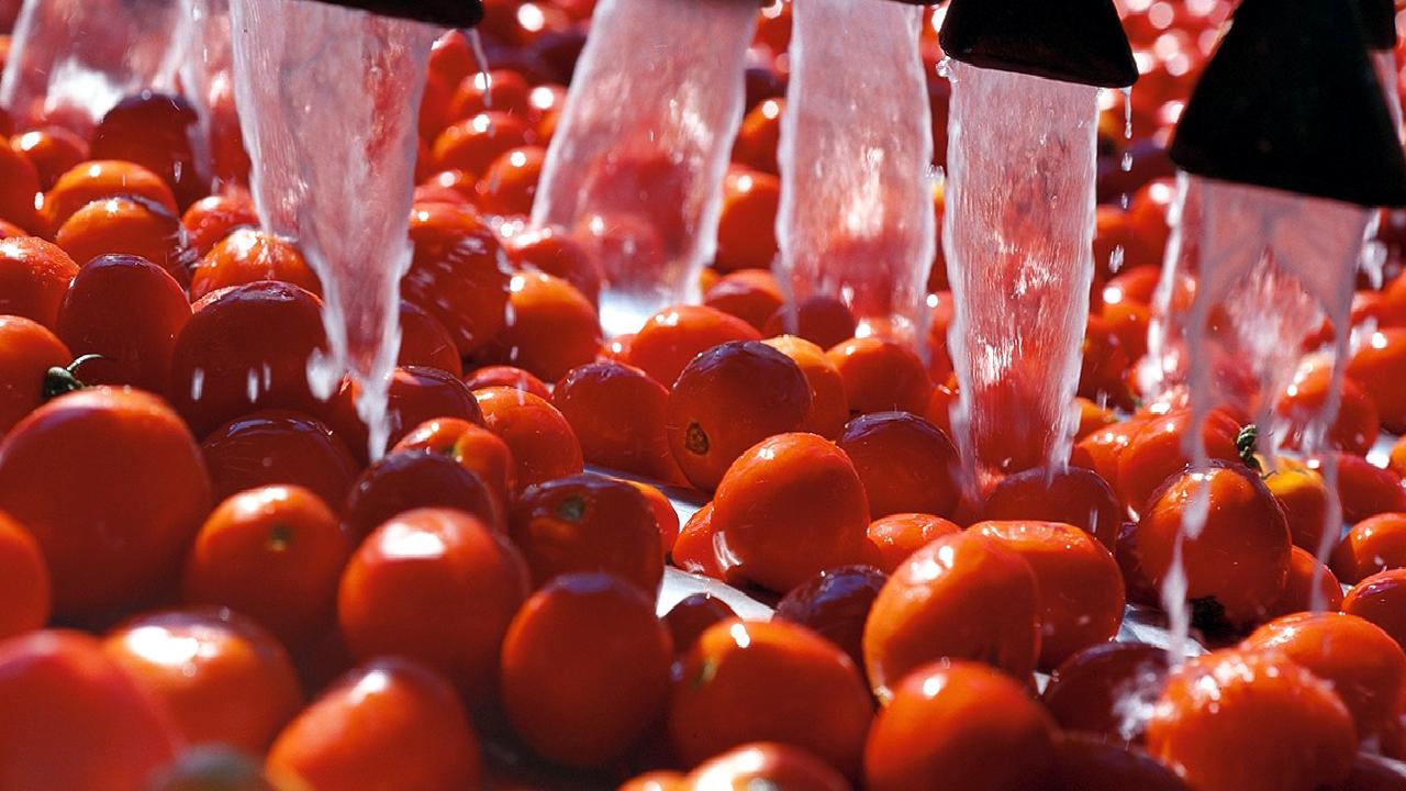 Domates fiyatlarındaki dalgalanmalar, çiftçilerin geçim mücadelesini derinden etkiliyor. Bu yazıda,