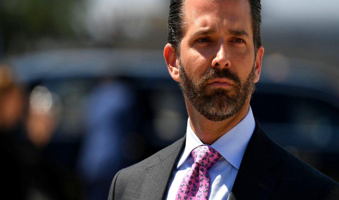 Donald Trump Jr.'ın yeni kripto para projesi, DeFi ve meme
