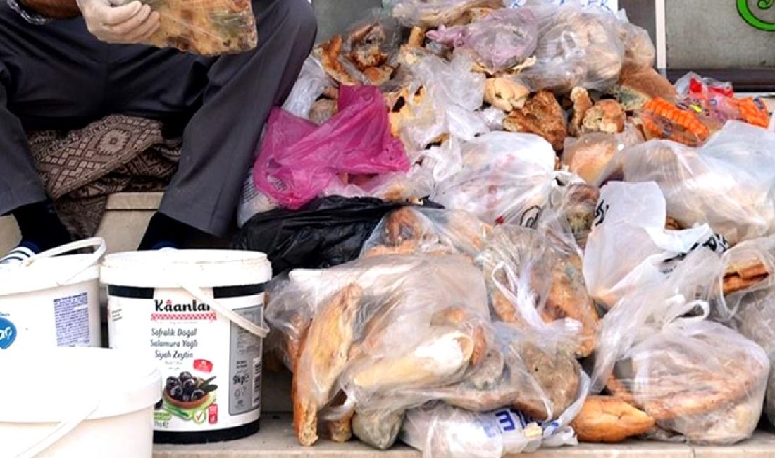 Dünyada Gıda İsrafı ve Çözüm Yolları Dünyada gıda israfının boyutlarını keşfedin ve bu sorunu çözmek için