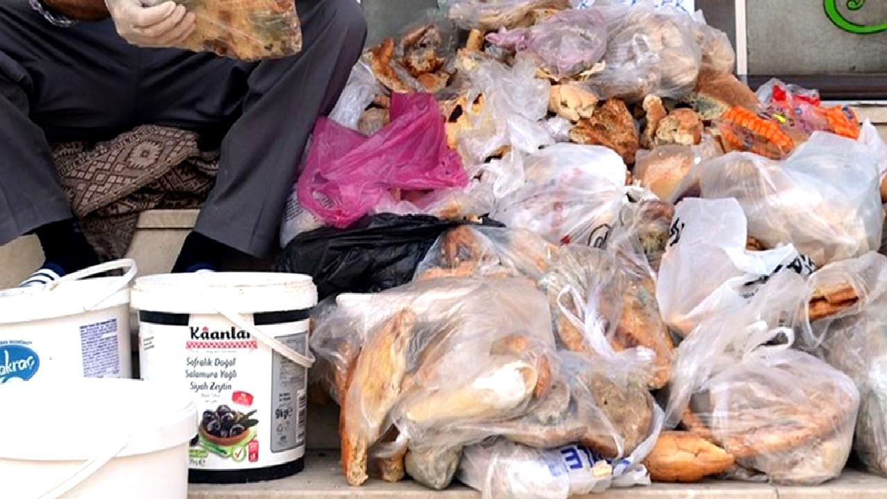 Dünyada gıda israfının boyutlarını keşfedin ve bu sorunu çözmek için