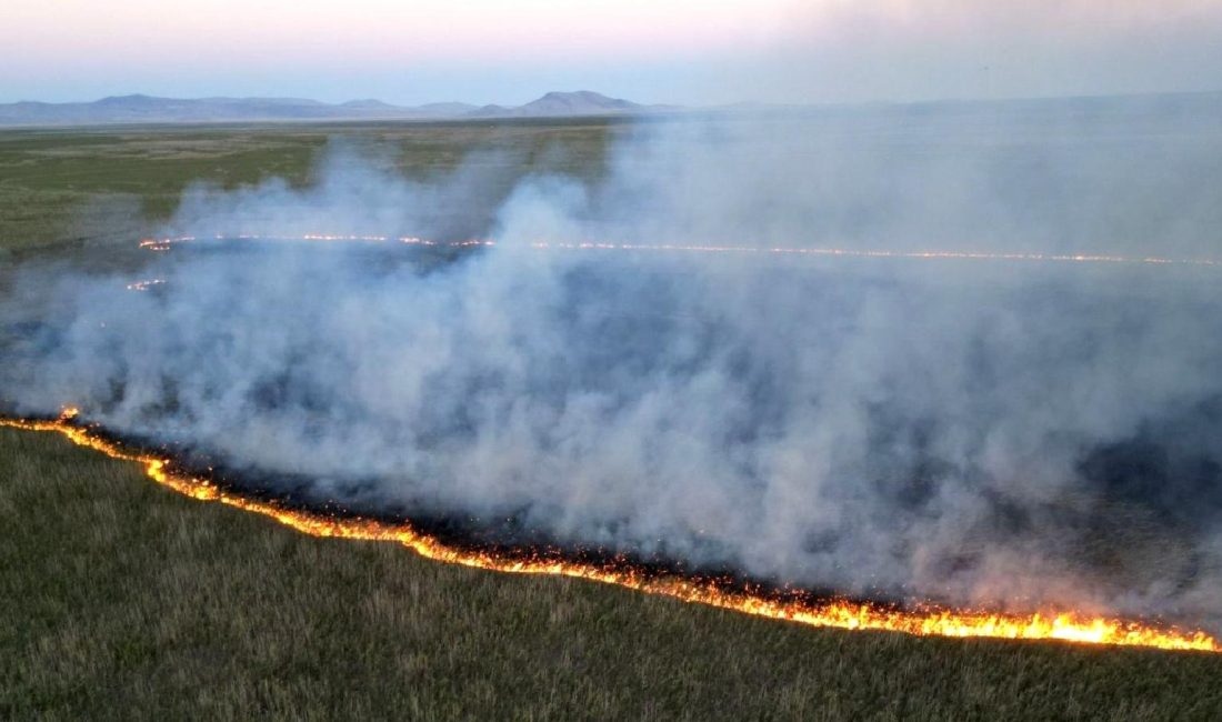 Eber Gölü’nde Yangın: 9 Dönüm Alan Zarar Gördü Eber Gölü'nde meydana gelen yangın, 9 dönüm alanın zarar görmesine