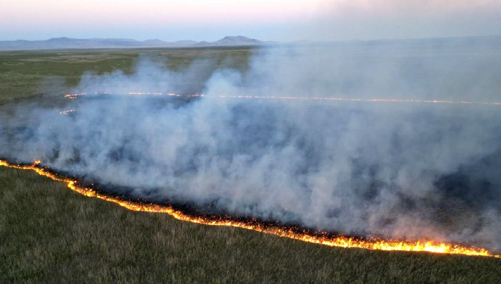 Eber Gölü'nde meydana gelen yangın, 9 dönüm alanın zarar görmesine