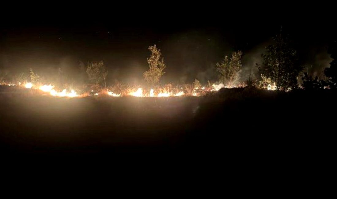 Elazığ'da Keban Şalt-2 Trafo Merkezi yakınlarında çıkan yangın, bölgedeki otluk