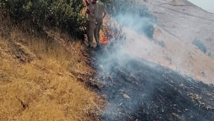Gökçebağ Beldesi’nde Kırsal Alan Yangını Kontrol Altına Alındı Gökçebağ Beldesi'nde meydana gelen kırsal alan yangını, ekiplerin hızlı müdahalesiyle