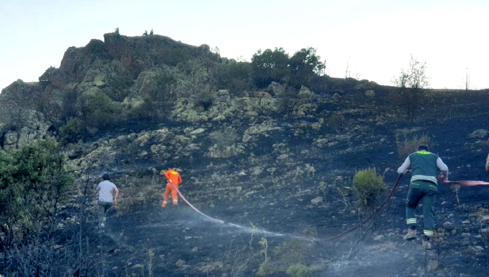 Gümüşhane'nin Şiran ilçesinde çıkan orman yangını, ekiplerin hızlı müdahalesi sayesinde