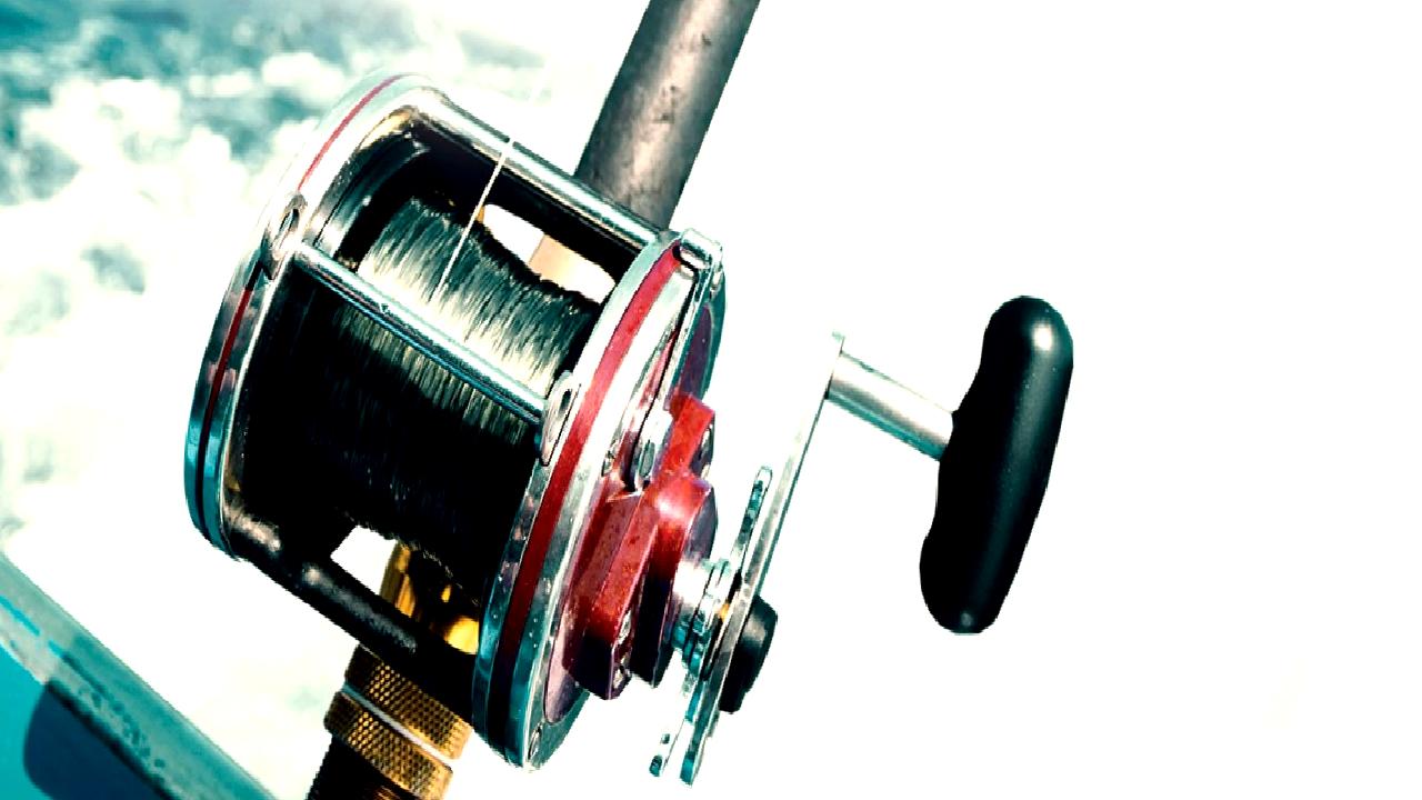 İklim değişikliğinin deniz ekosistemleri üzerindeki etkilerini keşfedin. Deniz canlılarının yaşam