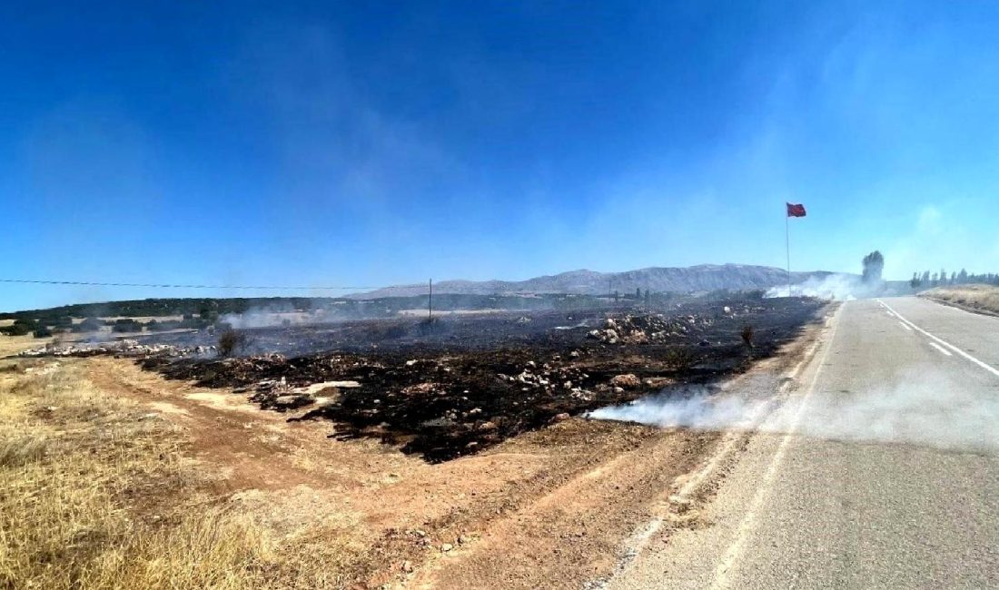 Isparta'da meydana gelen anız yangını, ekiplerin hızlı müdahalesi ile kontrol