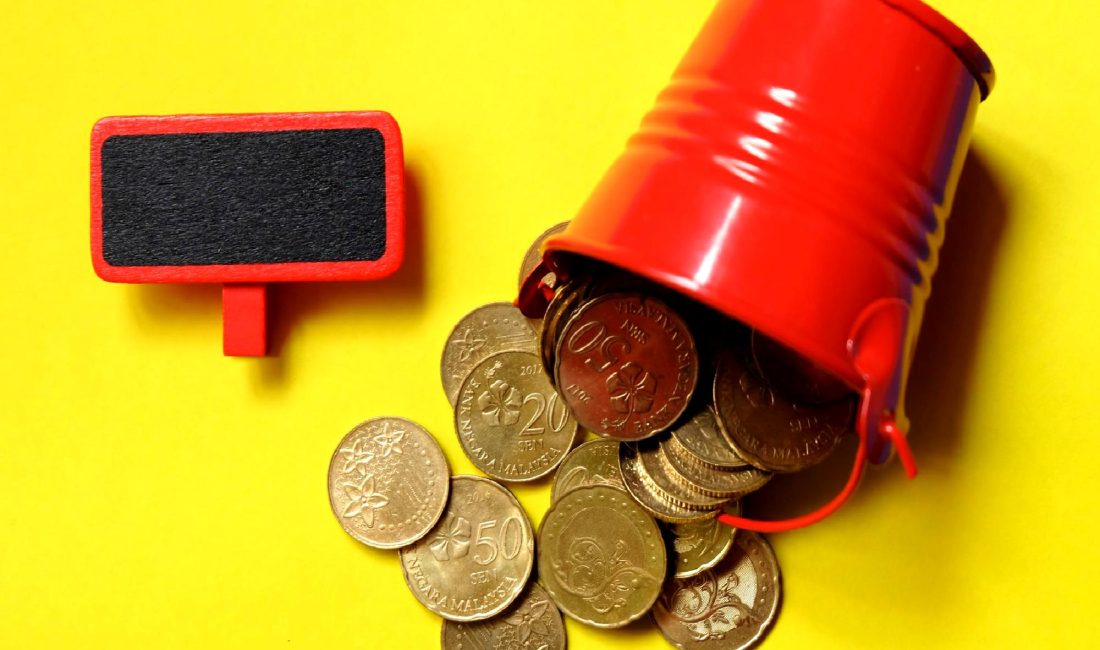 Kripto para dünyasında heyecan verici gelişmeleri keşfedin! Soulja Coin'in yükselişi,