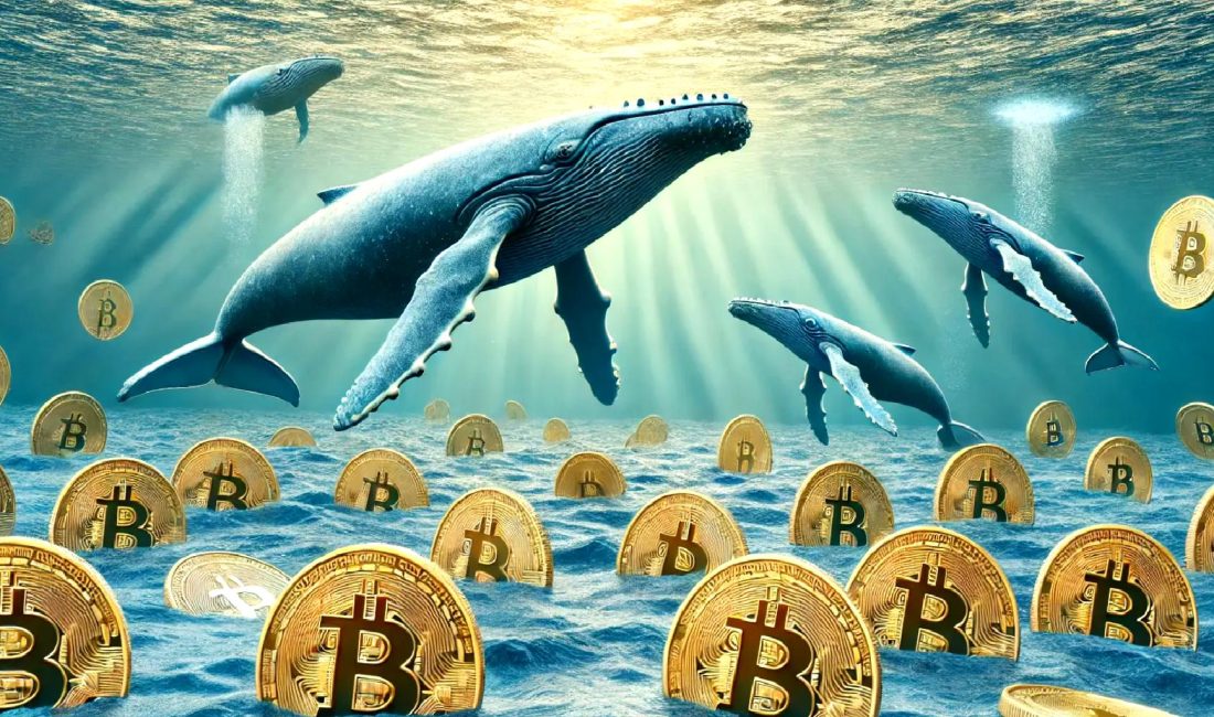 Kripto rallisi için beklentilerin ve altcoin analizlerinin derinlemesine incelendiği bu