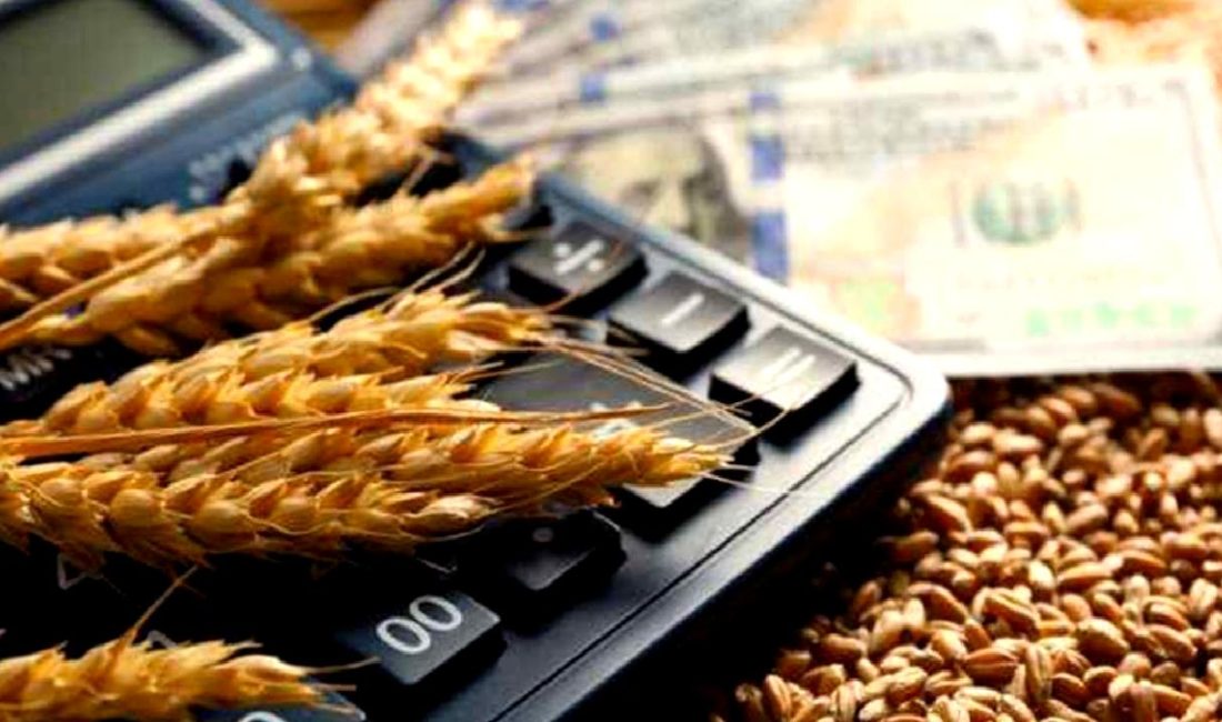 Küresel piyasalarda tarihi satış baskıları ve değişken trendler üzerine derinlemesine