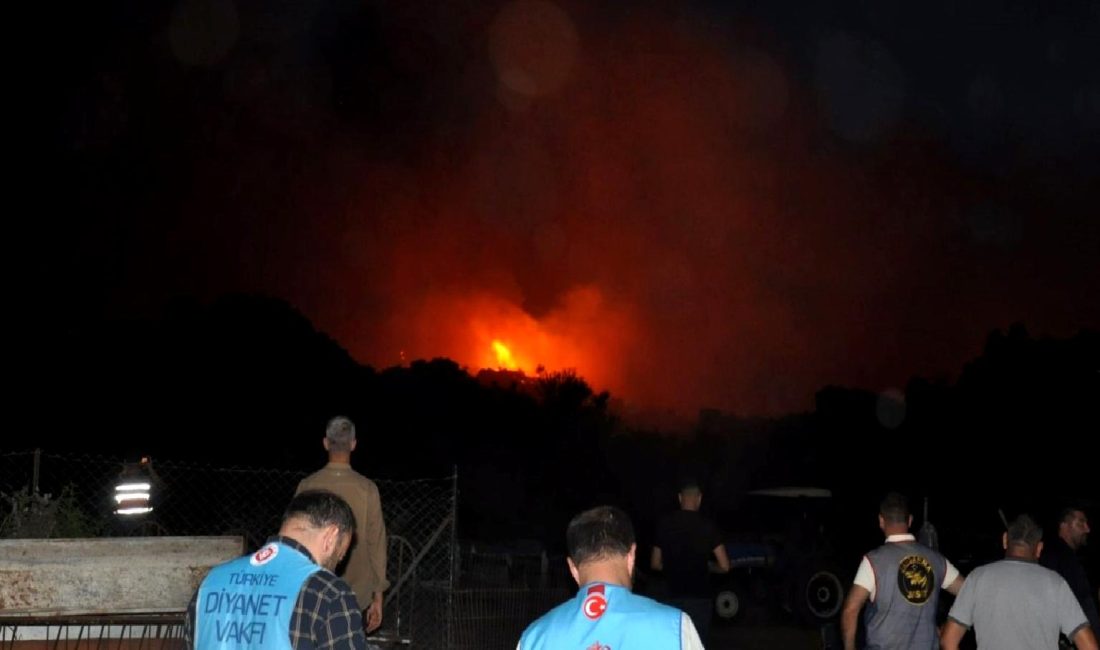 Manisa ve Elazığ’da Orman Yangınları Manisa ve Elazığ'da meydana gelen orman yangınları, doğal yaşamı tehdit