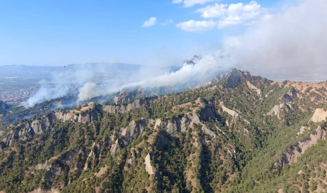 Manisa’da Orman Yangınına Müdahale Devam Ediyor Manisa'da meydana gelen orman yangınına müdahale çalışmaları hız kesmeden devam